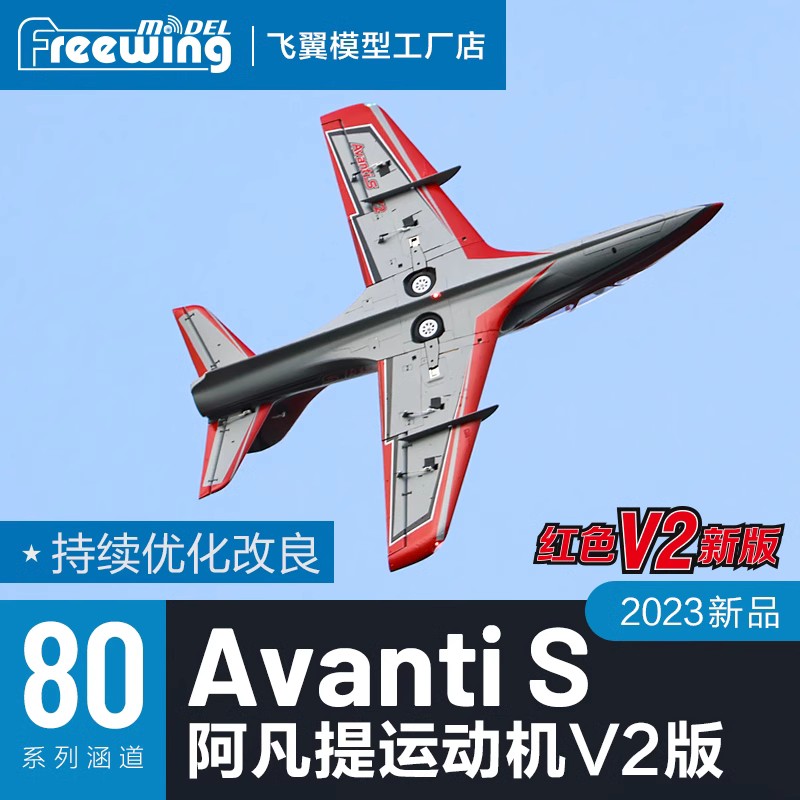 RC Model Freewing EPO RC Plane - Model Kit Instructions review and price
