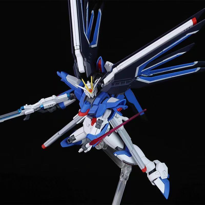 HG STTS-909 Rising Freedom Gun - Model Kit Gundam Wing review and price